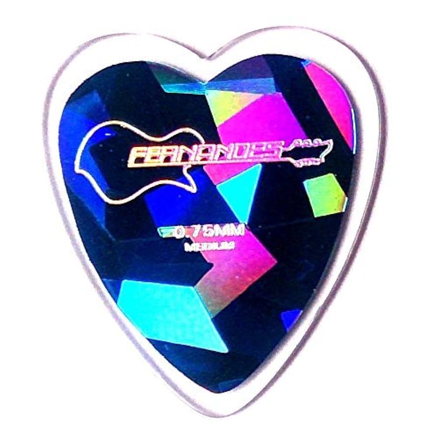 FERNANDES ハムバッカーLEDネック搭載 ブラックハート！フロイドローズ FERNANDES ハムバッカーLEDネック搭載 ブラックハート！フロイド